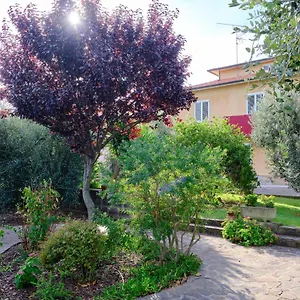 Olioealloro , San Vincenzo Italia